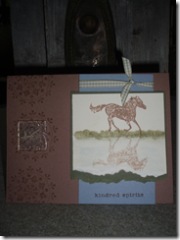 Reflective horse card